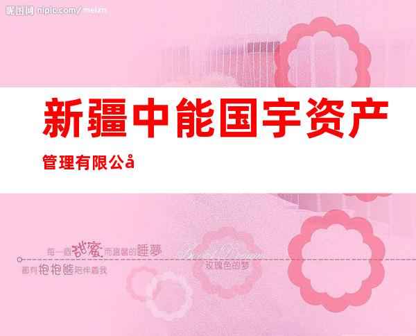 新疆中能国宇资产管理有限公司
