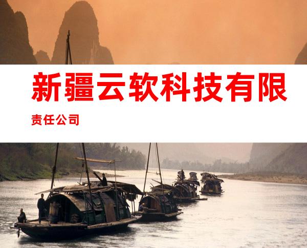 新疆云软科技有限责任公司
