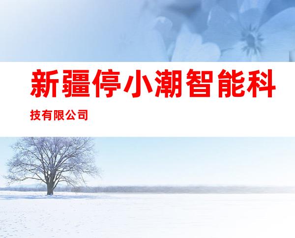 新疆停小潮智能科技有限公司