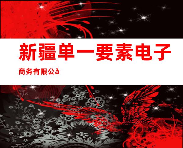 新疆单一要素电子商务有限公司