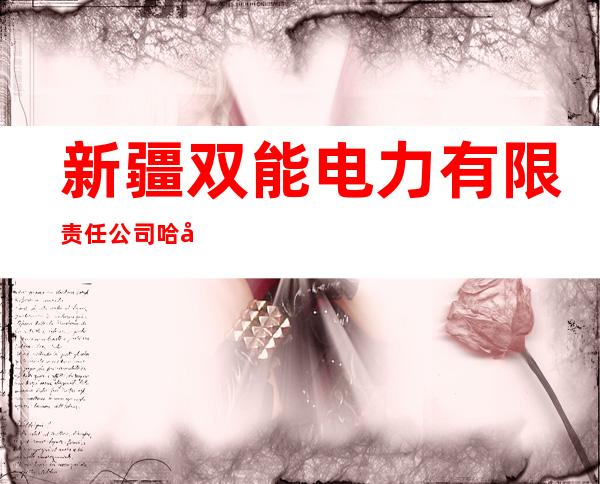 新疆双能电力有限责任公司哈尔墩供电所