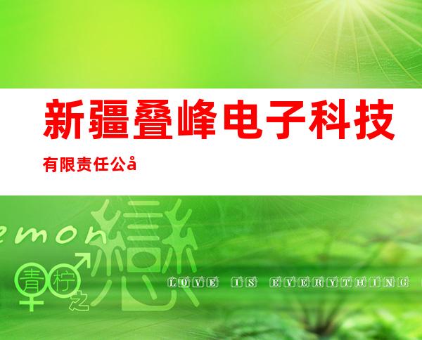 新疆叠峰电子科技有限责任公司