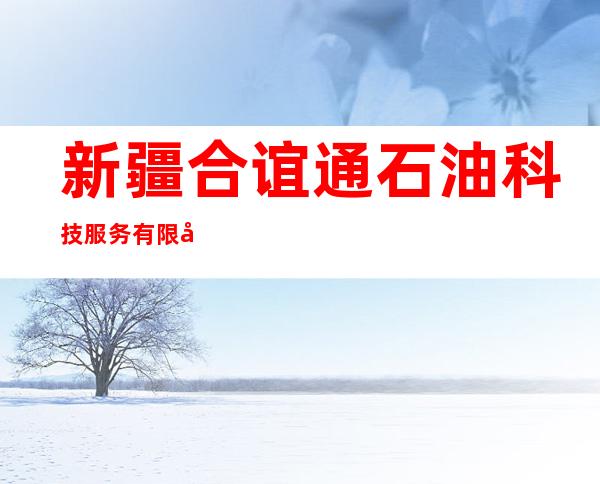 新疆合谊通石油科技服务有限公司