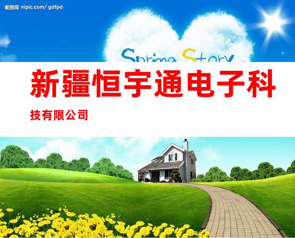 新疆恒宇通电子科技有限公司