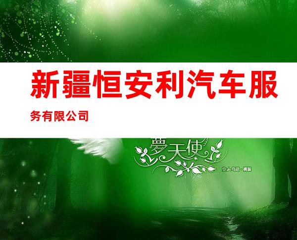 新疆恒安利汽车服务有限公司