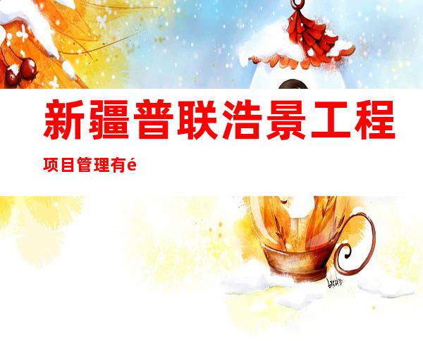 新疆普联浩景工程项目管理有限公司