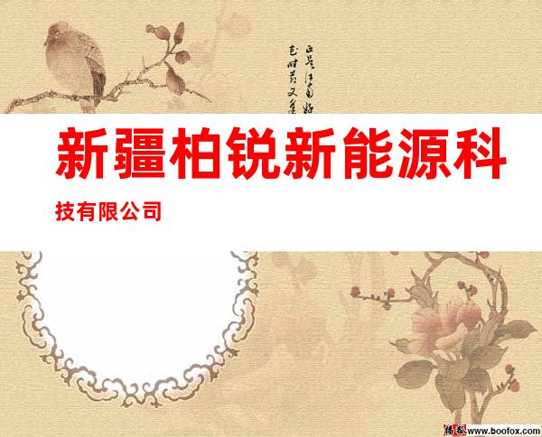 新疆柏锐新能源科技有限公司