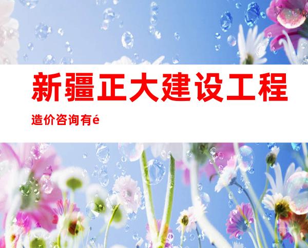 新疆正大建设工程造价咨询有限责任公司