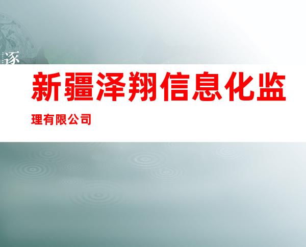 新疆泽翔信息化监理有限公司