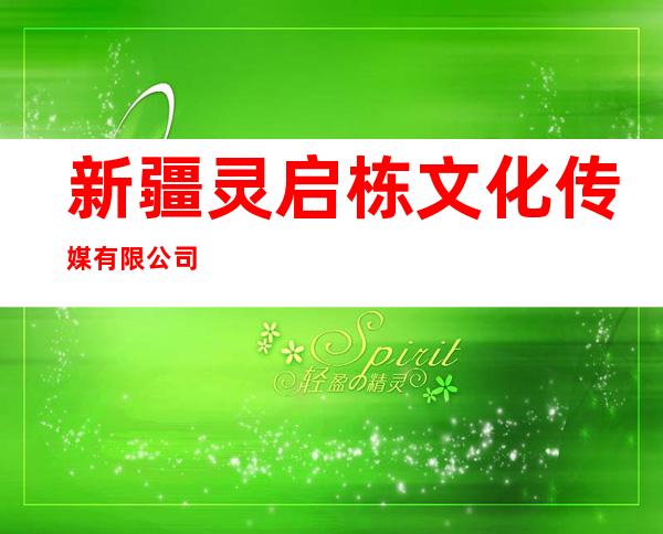 新疆灵启栋文化传媒有限公司