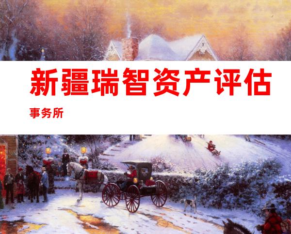新疆瑞智资产评估事务所