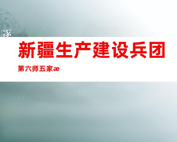 新疆生产建设兵团第六师五家渠市石油有限公司新湖中心加油站