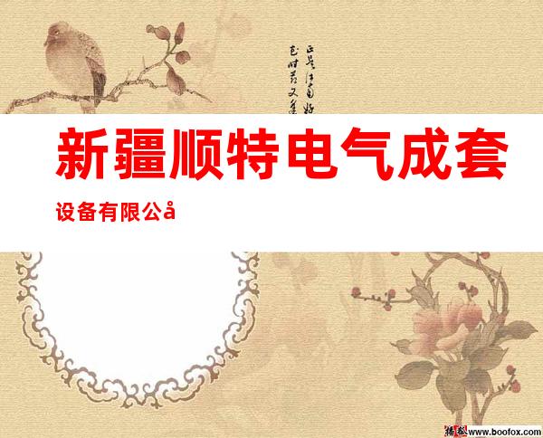 新疆顺特电气成套设备有限公司