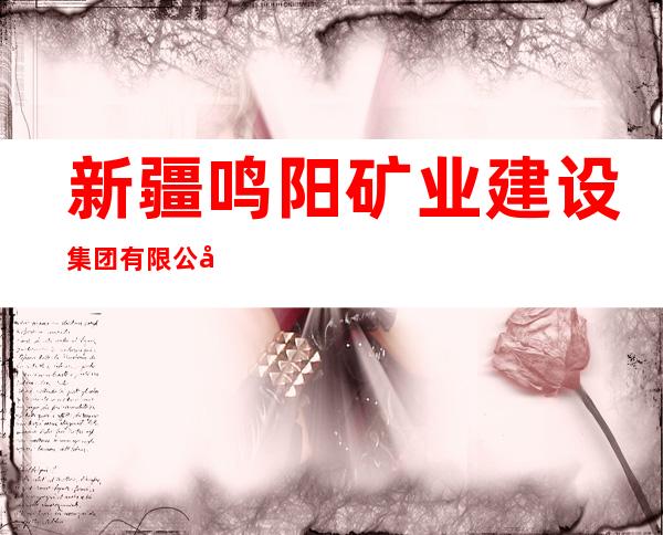 新疆鸣阳矿业建设集团有限公司拜城分公司