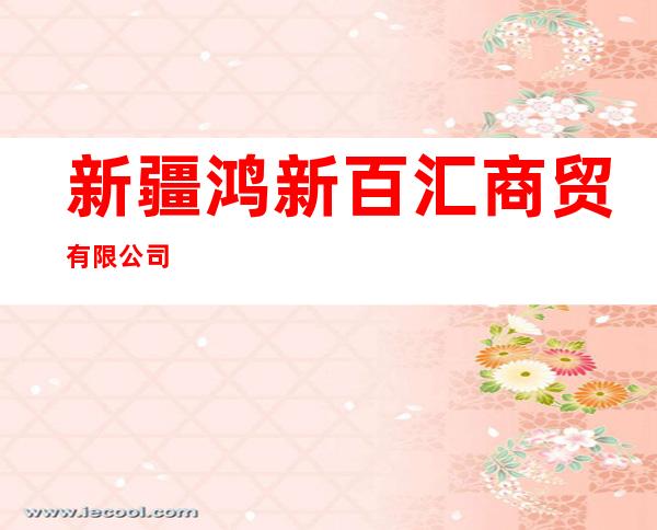 新疆鸿新百汇商贸有限公司