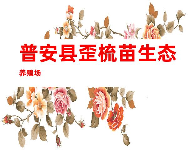 普安县歪梳苗生态养殖场