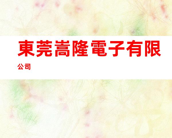 東莞嵩隆電子有限公司