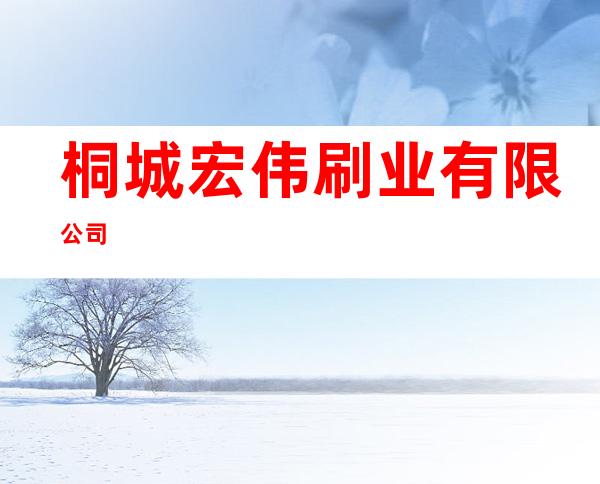 桐城宏伟刷业有限公司