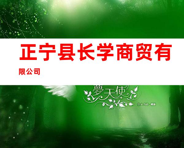 正宁县长学商贸有限公司