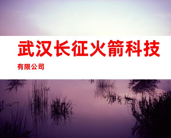 武汉长征火箭科技有限公司