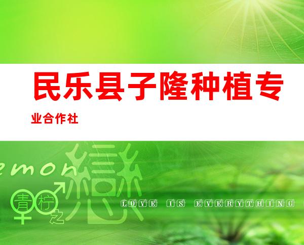 民乐县子隆种植专业合作社