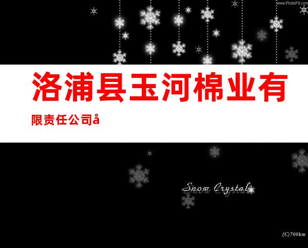 洛浦县玉河棉业有限责任公司和田市玉龙喀什供销经销部