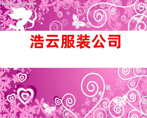 浩云服装公司