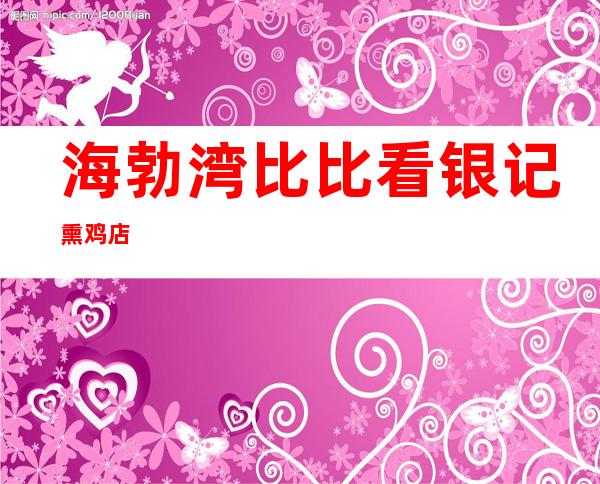 海勃湾比比看银记熏鸡店