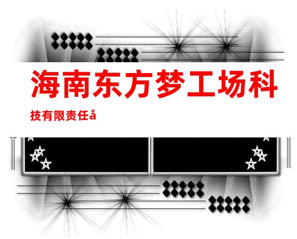 海南东方梦工场科技有限责任公司