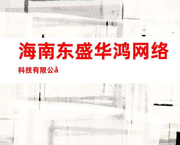 海南东盛华鸿网络科技有限公司