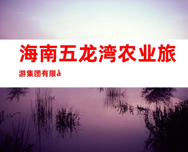 海南五龙湾农业旅游集团有限公司