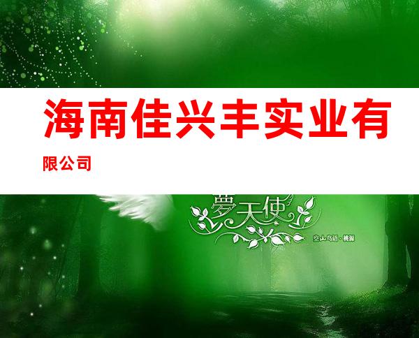 海南佳兴丰实业有限公司