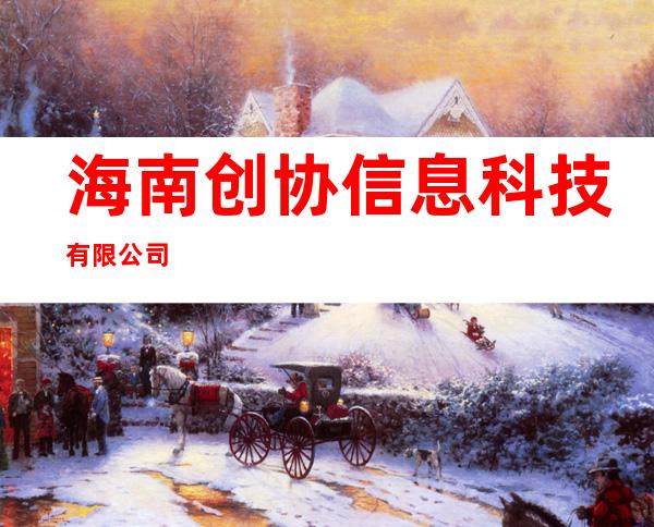 海南创协信息科技有限公司