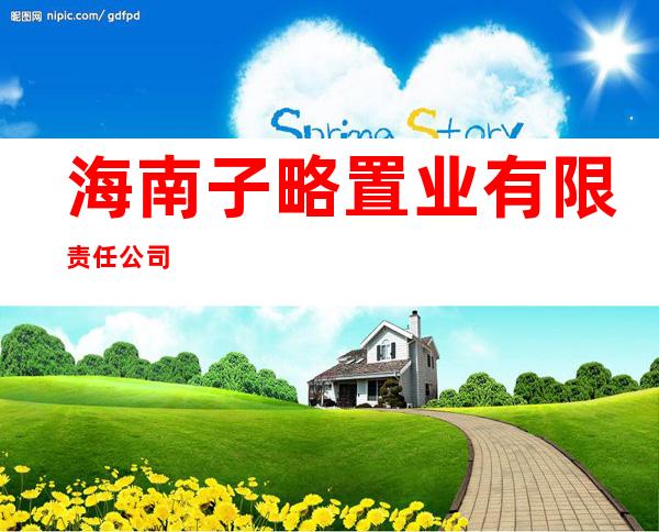 海南子略置业有限责任公司