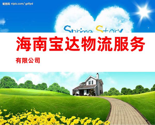 海南宝达物流服务有限公司