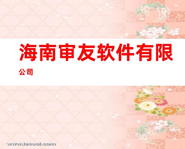 海南审友软件有限公司