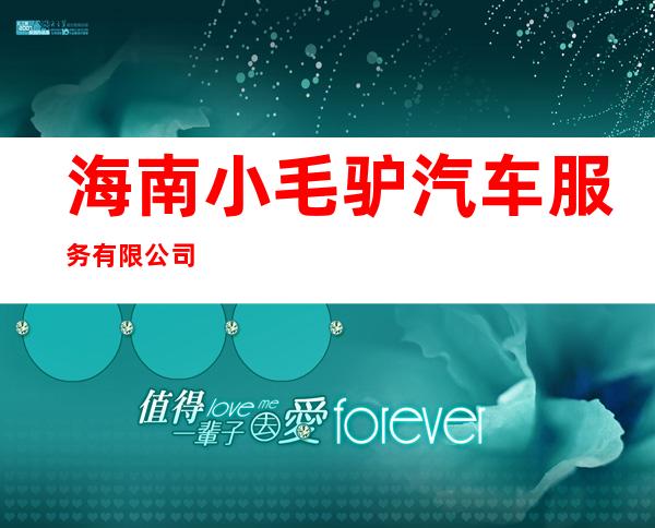海南小毛驴汽车服务有限公司