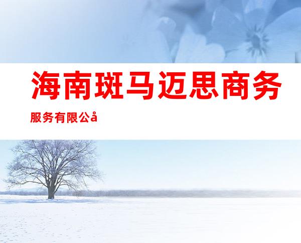 海南斑马迈思商务服务有限公司