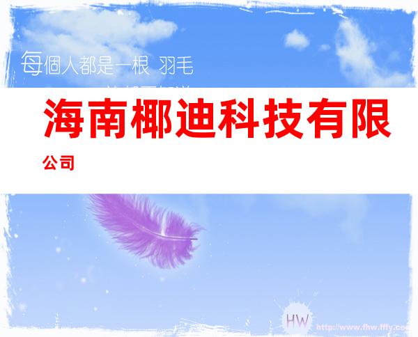 海南椰迪科技有限公司