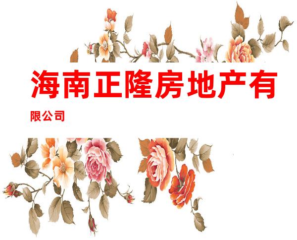 海南正隆房地产有限公司
