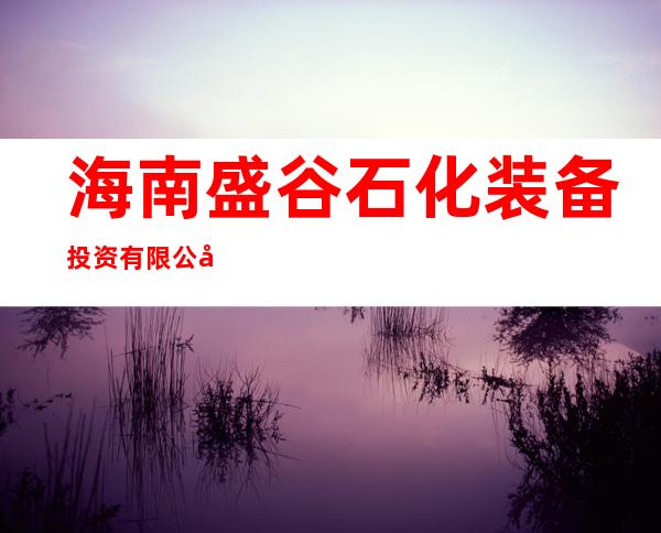 海南盛谷石化装备投资有限公司