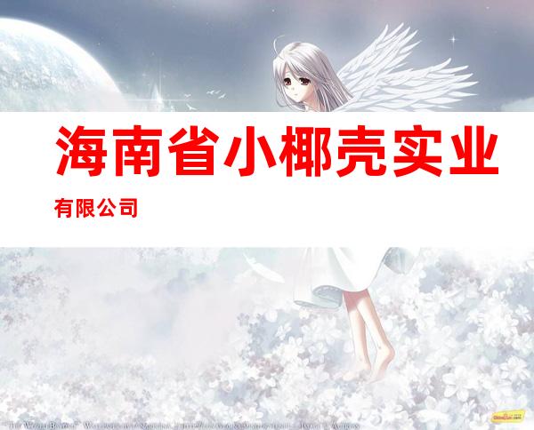 海南省小椰壳实业有限公司