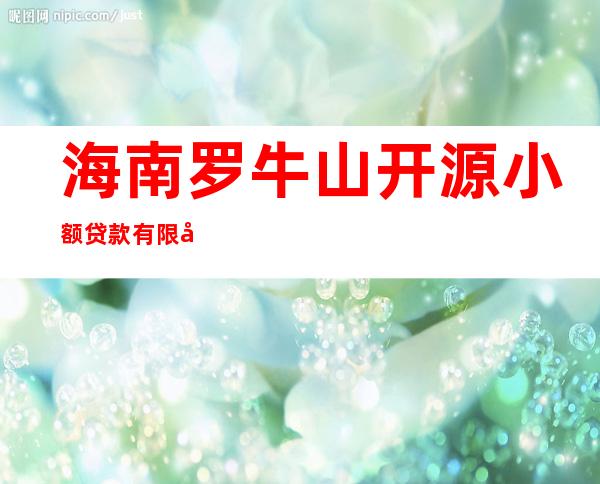 海南罗牛山开源小额贷款有限公司
