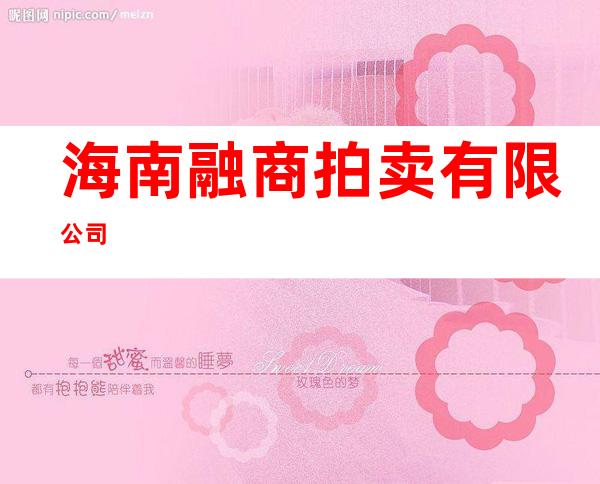 海南融商拍卖有限公司
