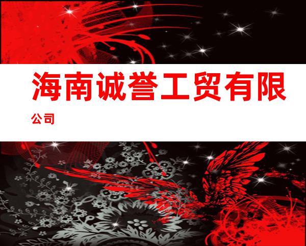 海南诚誉工贸有限公司