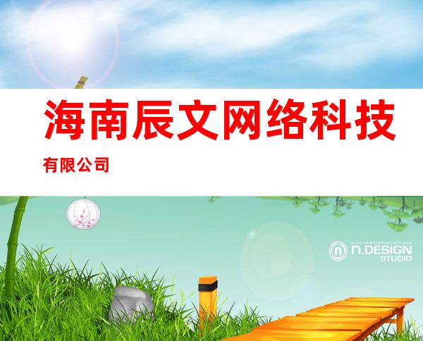 海南辰文网络科技有限公司