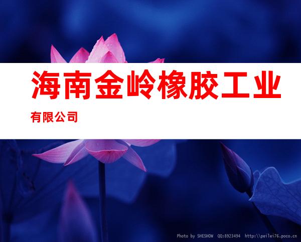 海南金岭橡胶工业有限公司