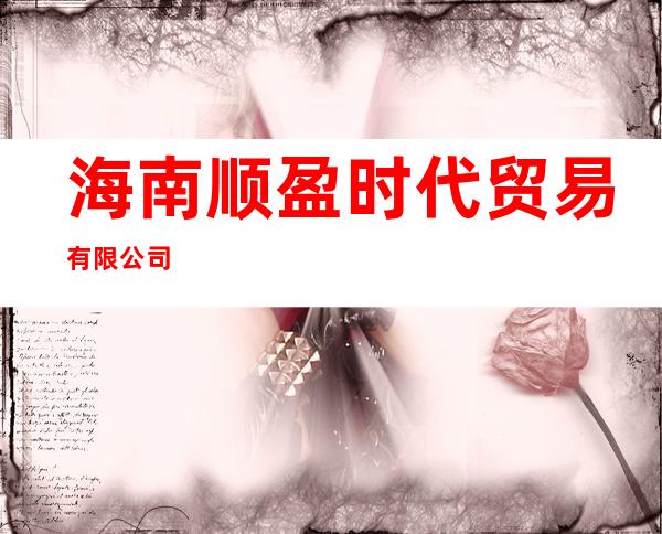 海南顺盈时代贸易有限公司