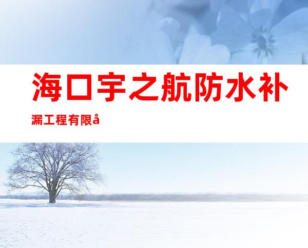 海口宇之航防水补漏工程有限公司