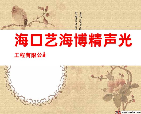 海口艺海博精声光工程有限公司